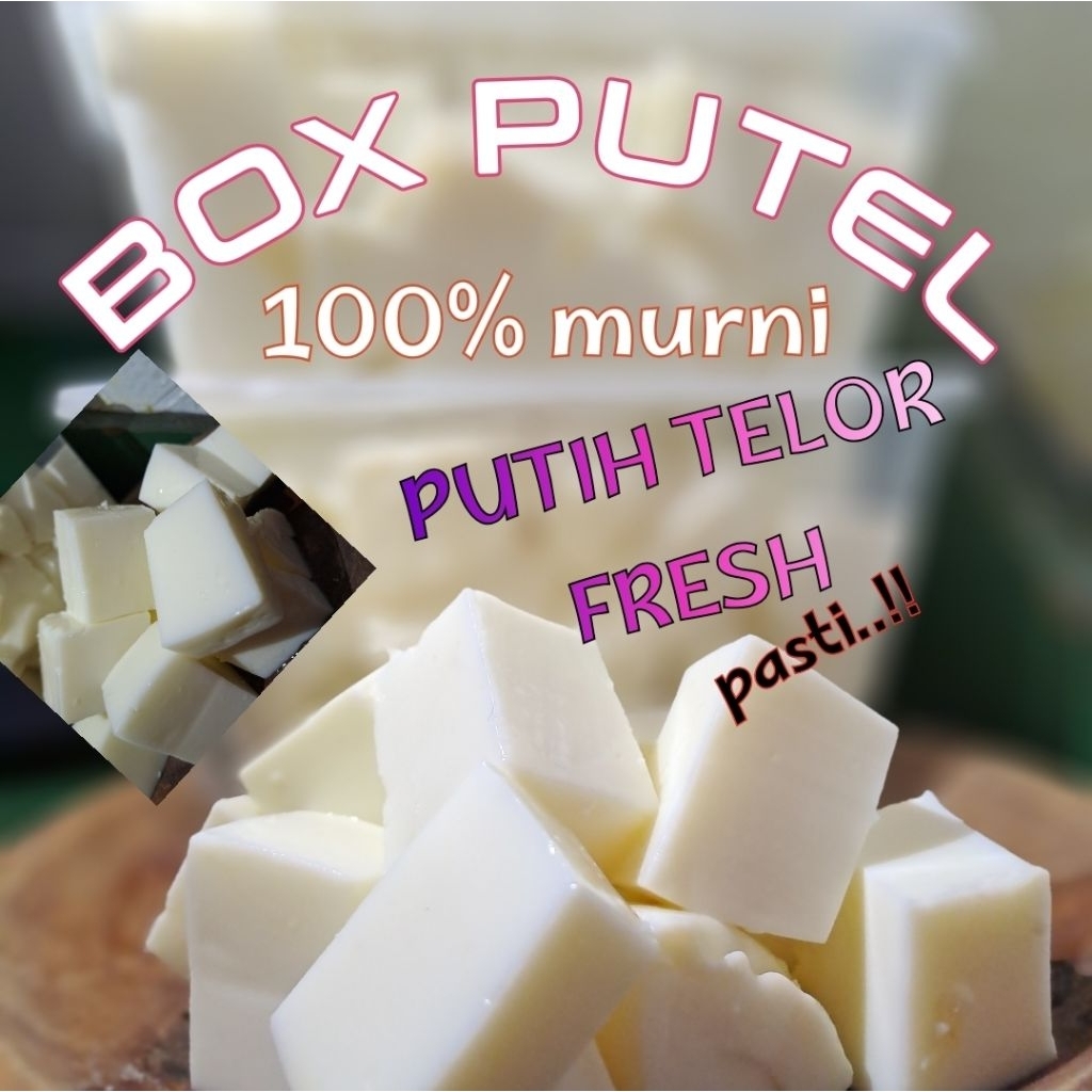 

BOX PUTEL|PUTIH TELOR|BALOK PUTEL 100% MURNI
