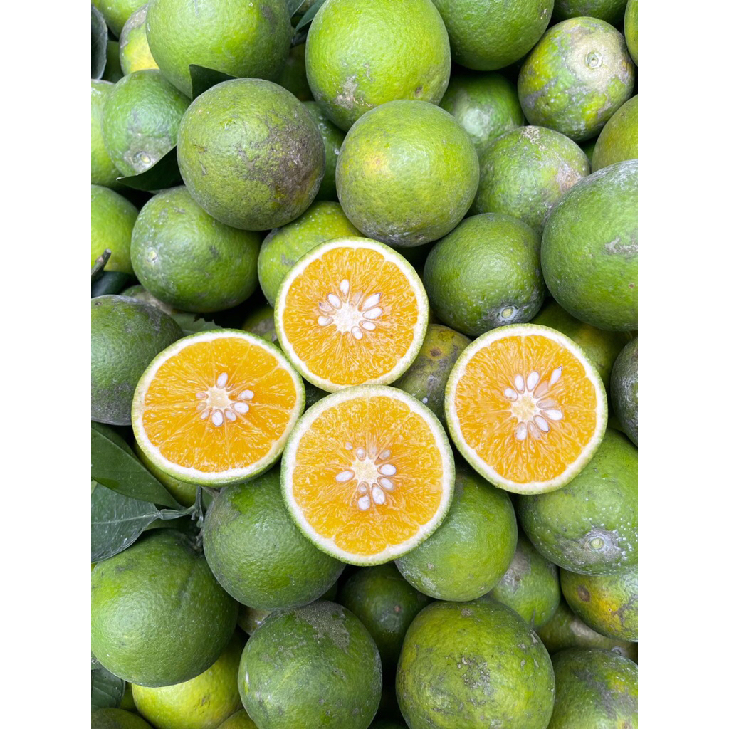 

Jeruk Baby Java Fresh Kualitas Premium 100%