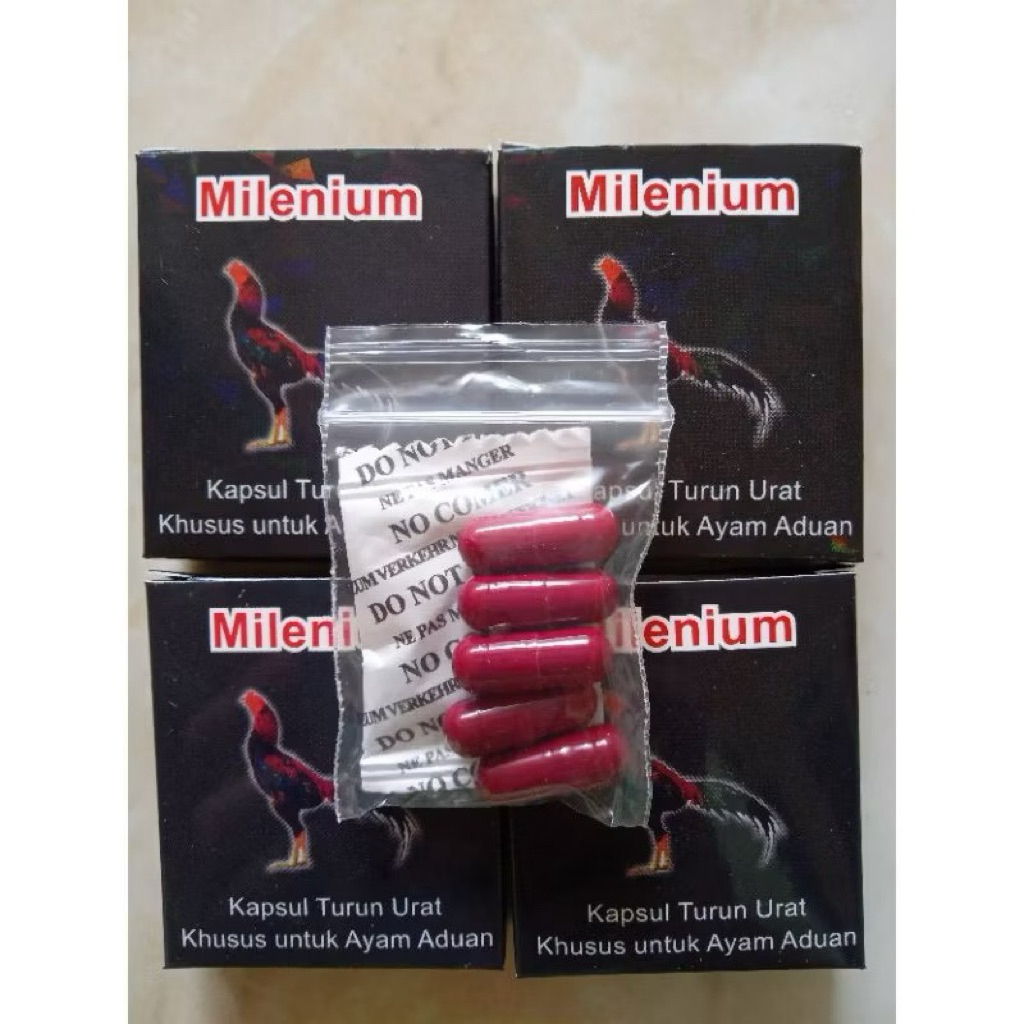 AYAM TEDUN-KAKI AYAM BENGKAK-AYAM TURUN URAT