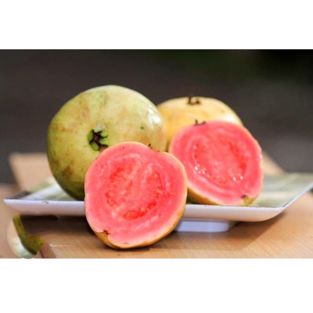 

Jambu biji Merah / Guava