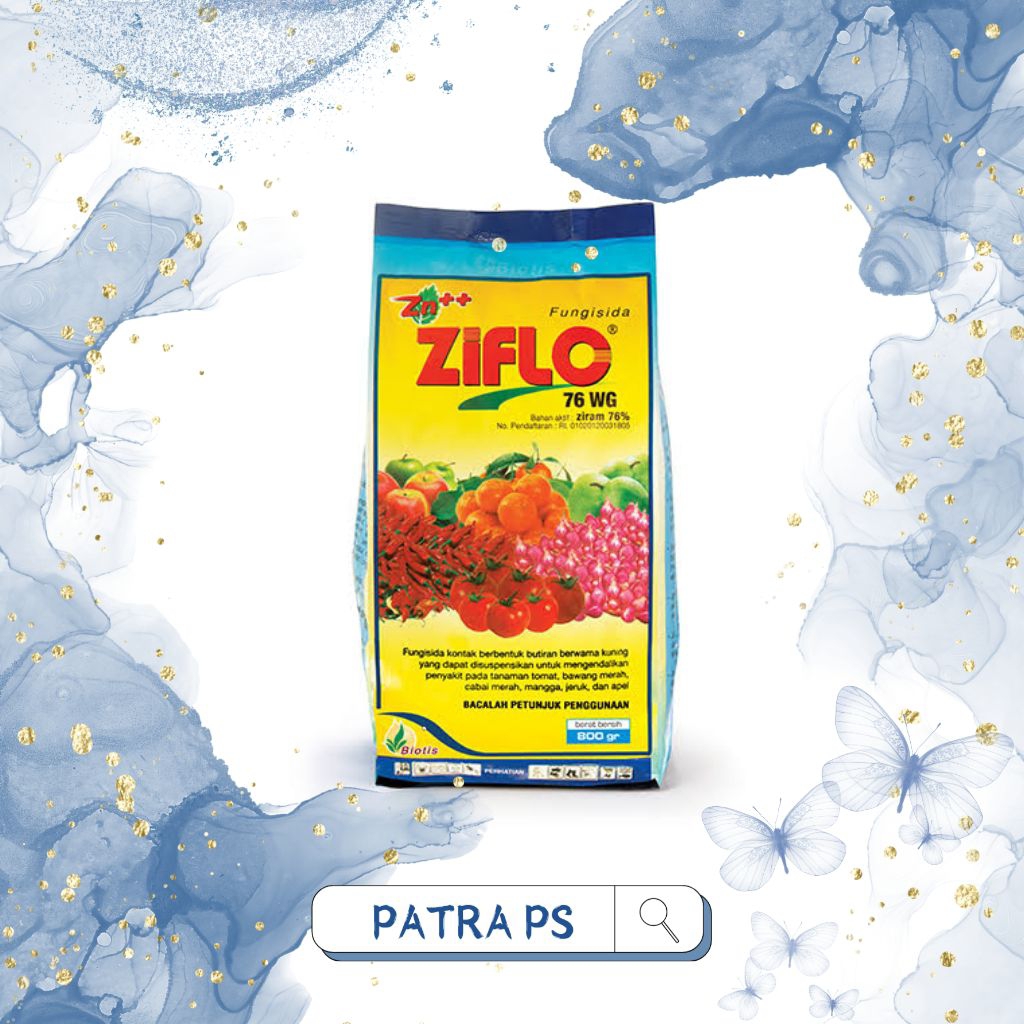 FUNGISIDA ZIFLO 90 WP 200GRAM
