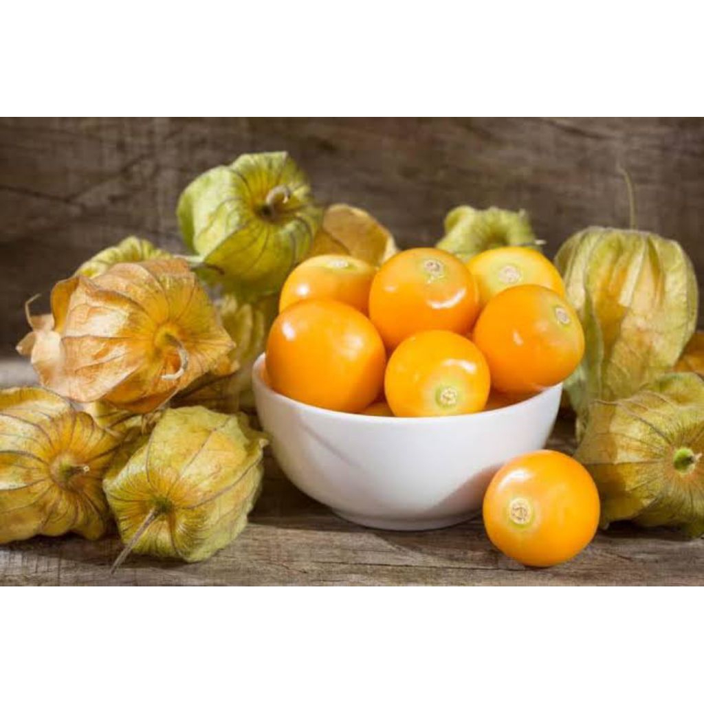 Buah Ciplukan/cecenet 250gram/500gram