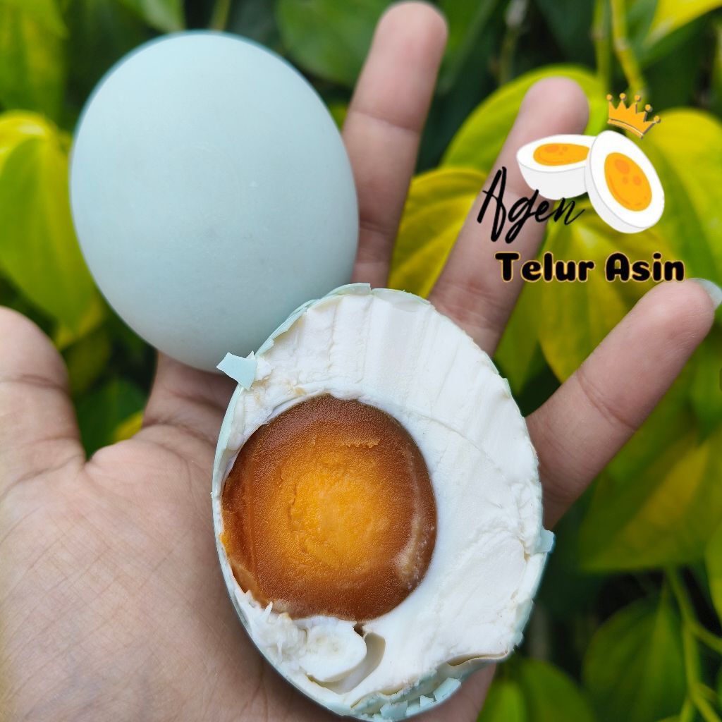 

Telur Asin Masir premium harga per butir