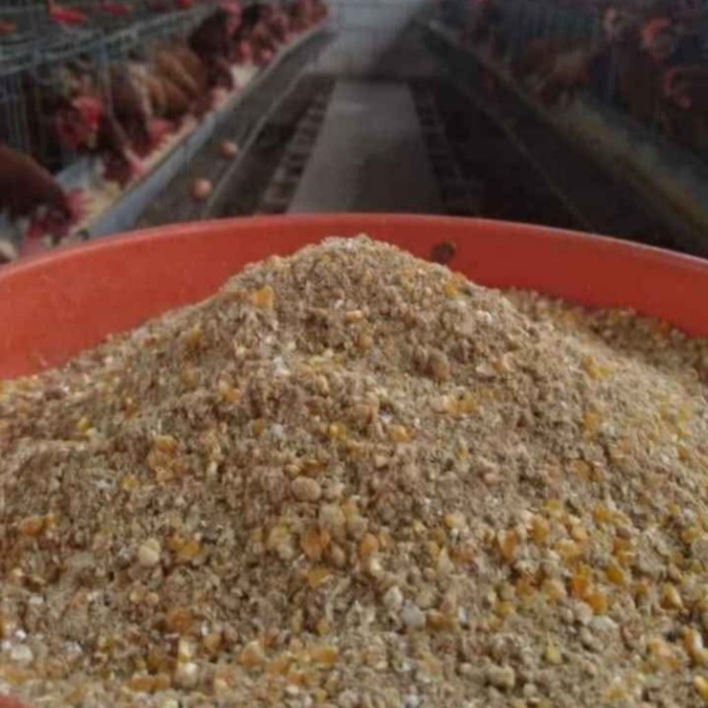 PAKAN/POR AYAM/BEBEK/MENTOK PETELUR