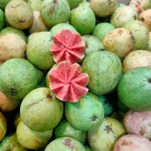 

jambu biji merah 1kg