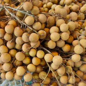 

kelengkeng bangkok 500g