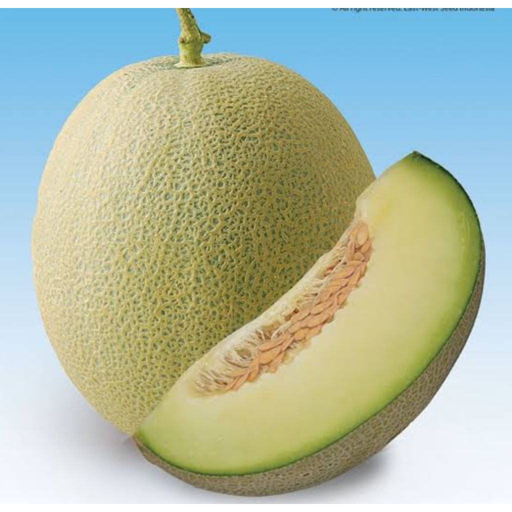 

Melon,semangka