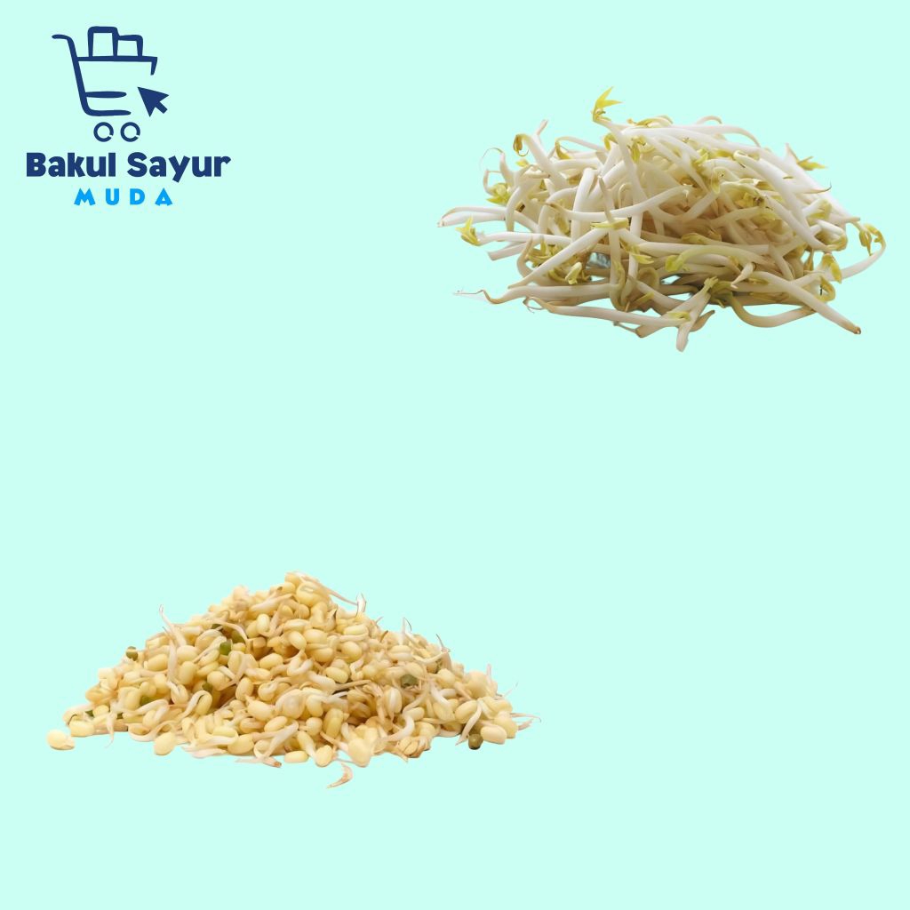 

Toge Panjang Toge Pendek Segar 100 Gram