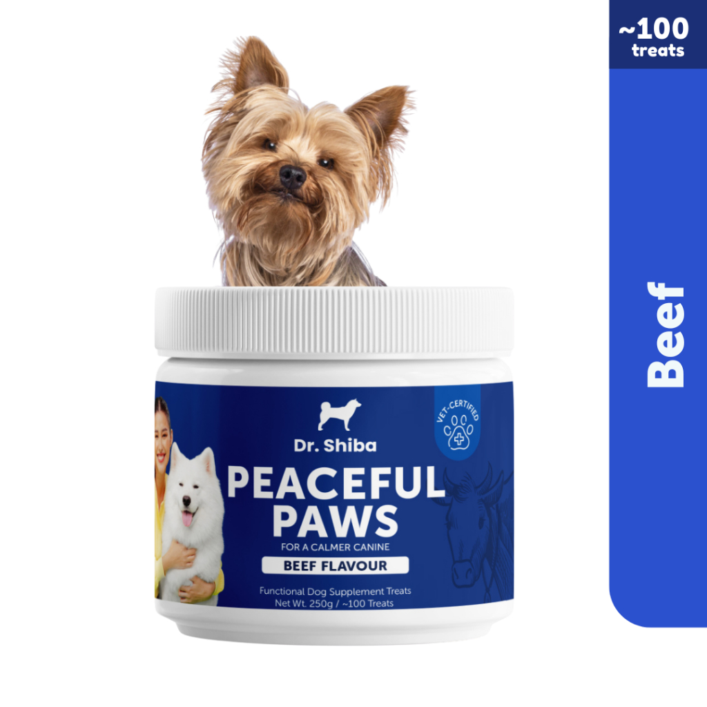 Dr. Shiba Peaceful Paws |  Suplemen Sehat untuk untuk Membantu Anjiing Lebih Tenang