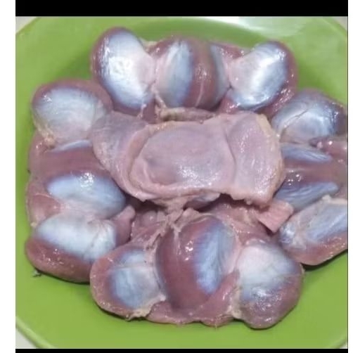 

Ampela bebek 1 pack berat 1 kilo bersih / ampela bebek/ ampela/ bebek/ frozen food/ampela bebek premium