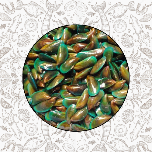 

KERANG IJO SEGAR 1KG