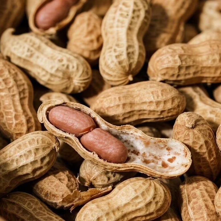 

Kacang Tanah Mentah Sudah Dicuci Bersih Kacang Kulit - 1Kilogram