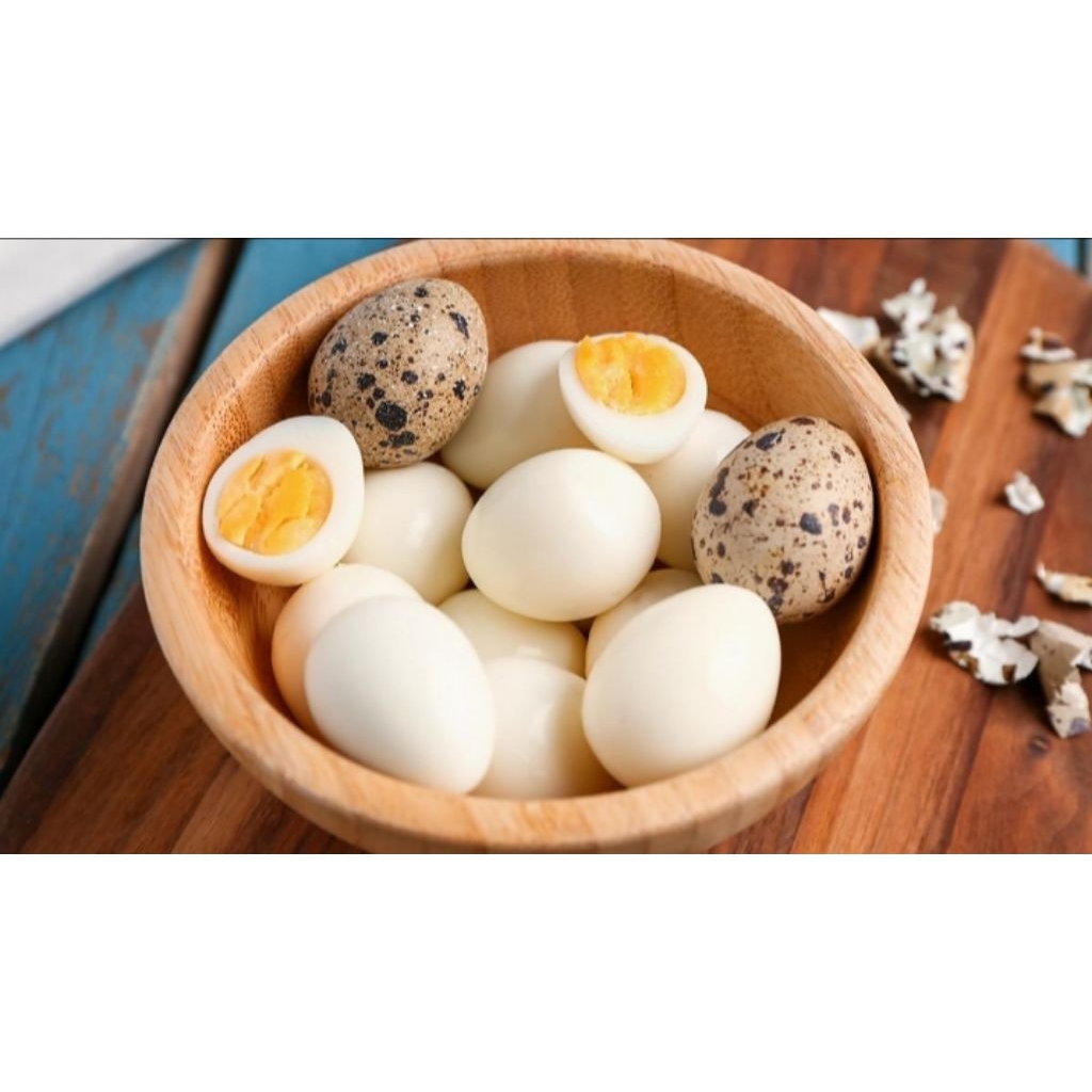 

Fresh telur puyuh matang 50 butir