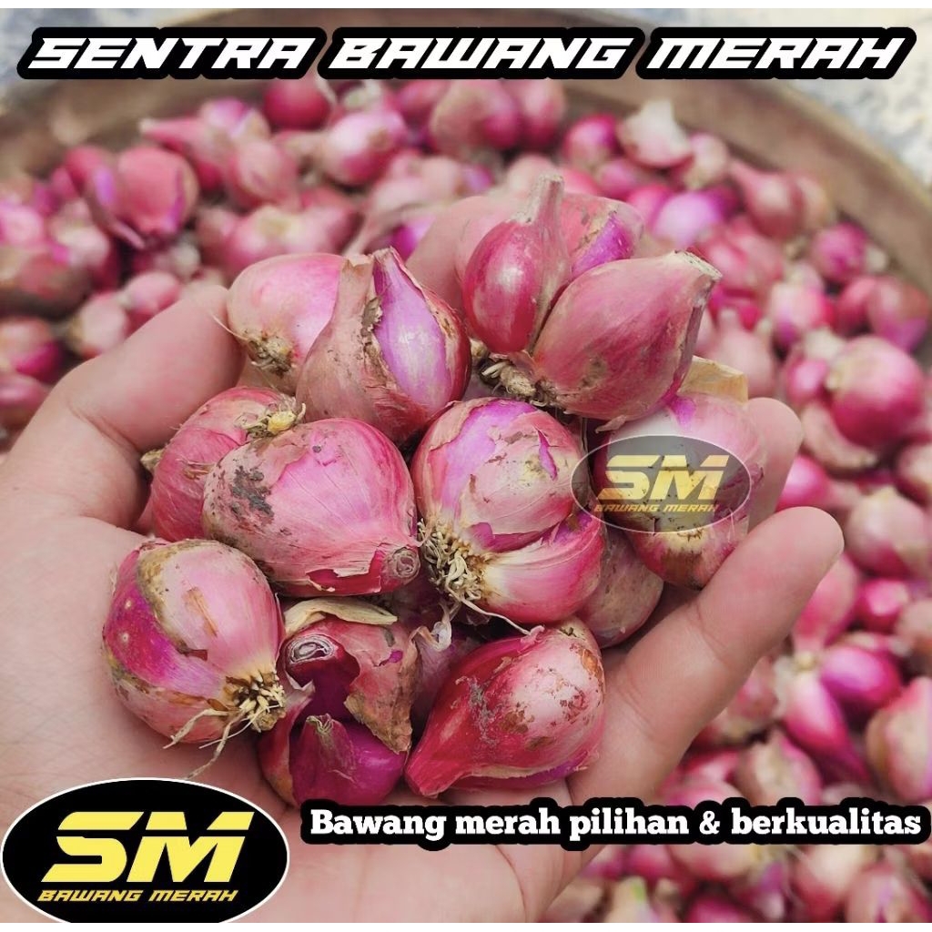 

Bawang merah nganjuk/murah/berkualitas