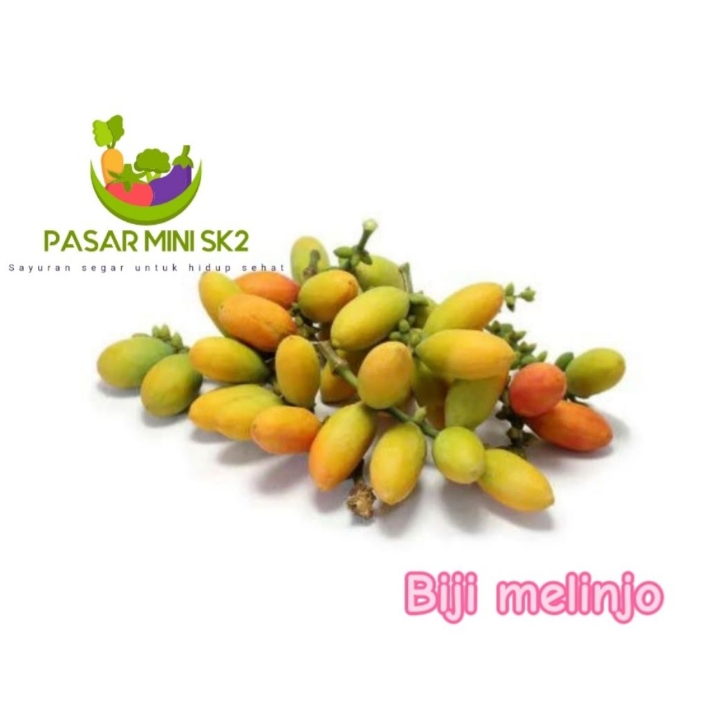 

biji melinjo 50gr