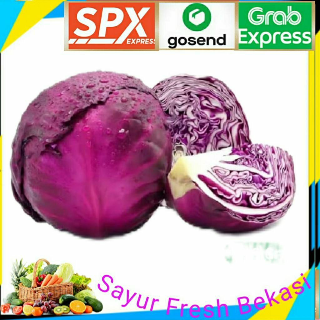 

Kol/Kubis Ungu 500gr.