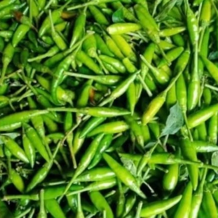 

Cabai Rawit Hijau ( Caplak ) | 100℅ SEGAR & BERKUALITAS TINGGI