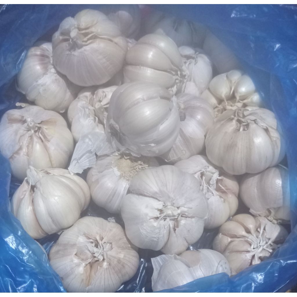

Bawang putih bersih 1 kg