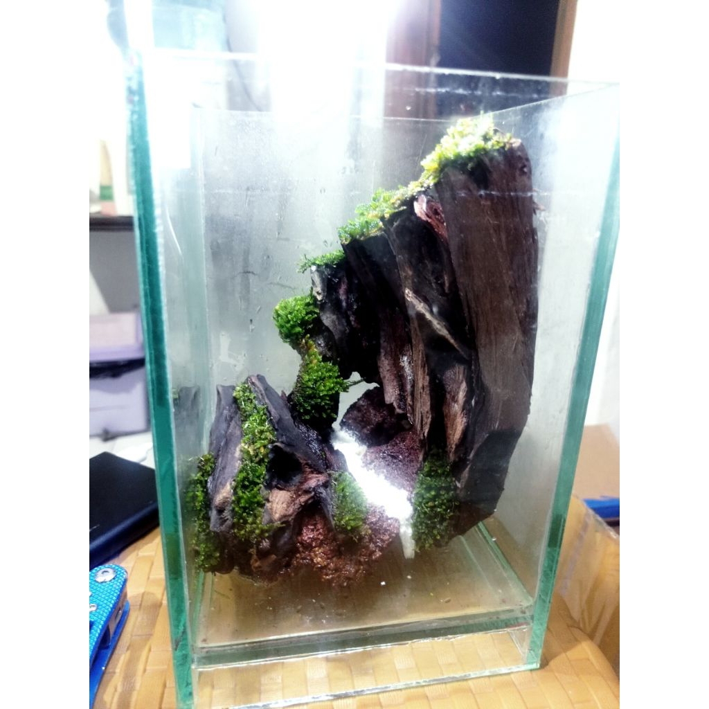 aquascape mini fullset tinggal isi ikan ukuran 15*15*20