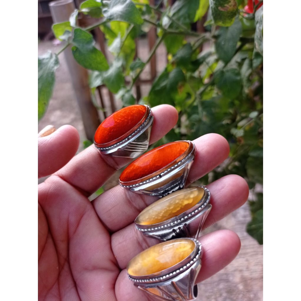 pandan merah jamblang , nanas madu ring monel