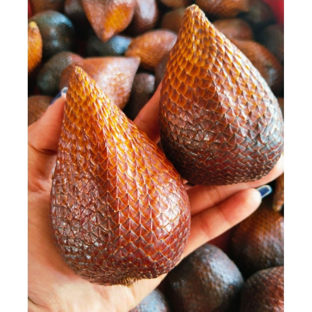 

Salak Pondoh Segar Fresh Manis 1Kg