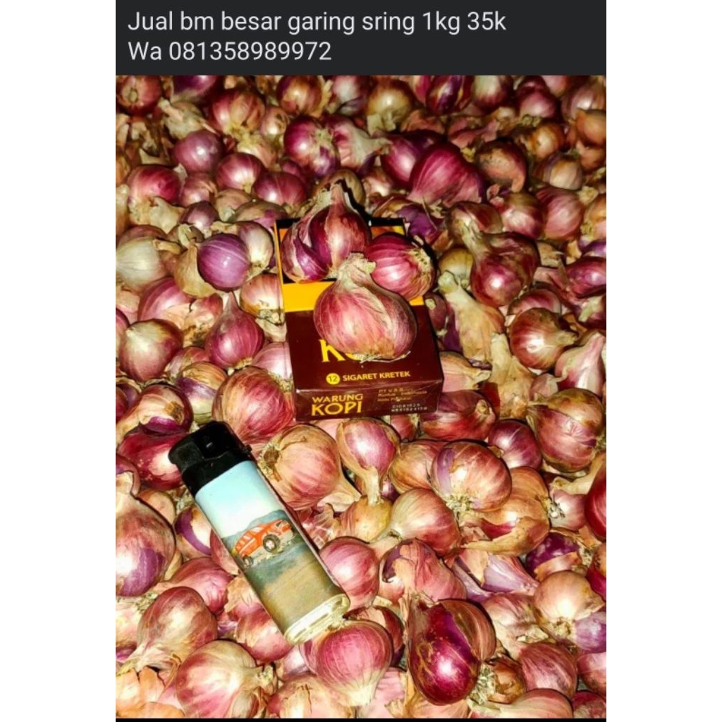 

bawang merah besar 1kg kering