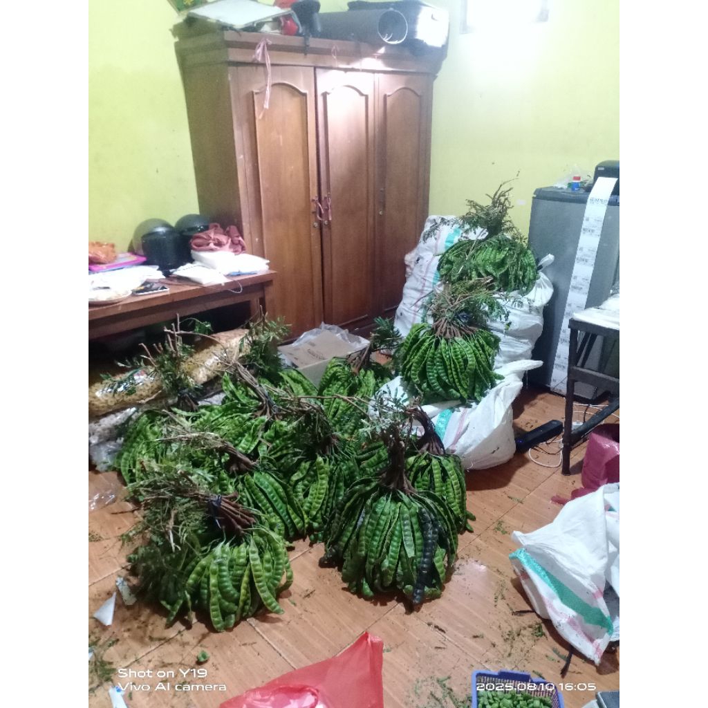 

PETE SEDANG 10 PAPAN