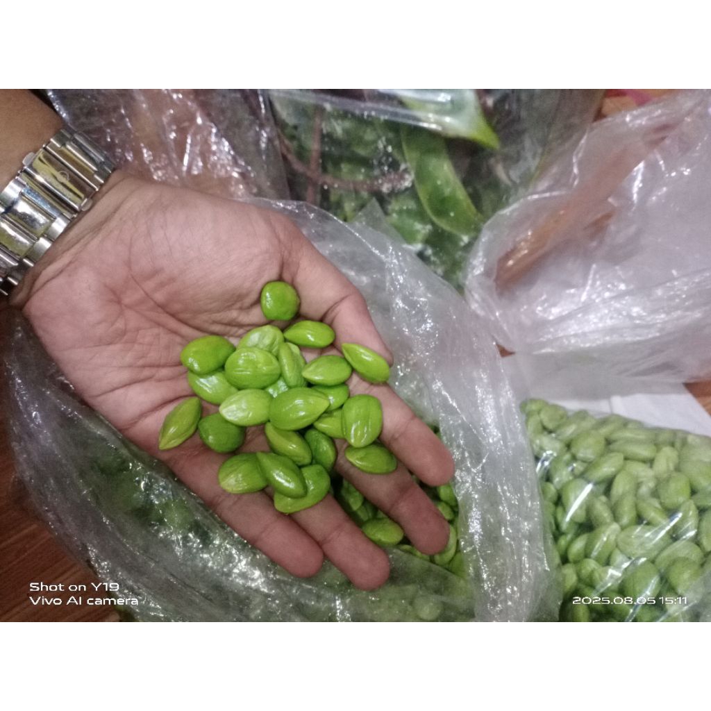 

PETE KUPAS GRADE B & C 500GRAM-1000GRAM