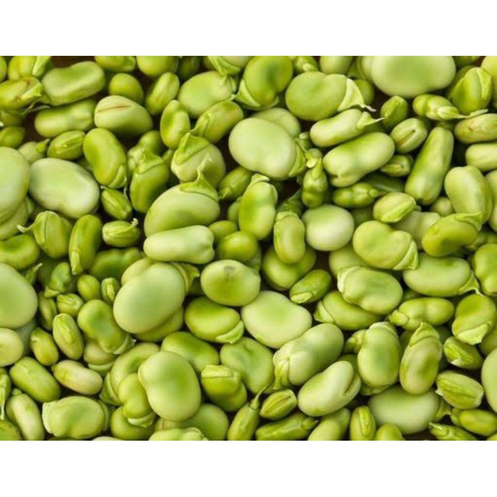 

Kacang Koro Kulit Mentah 1 kg