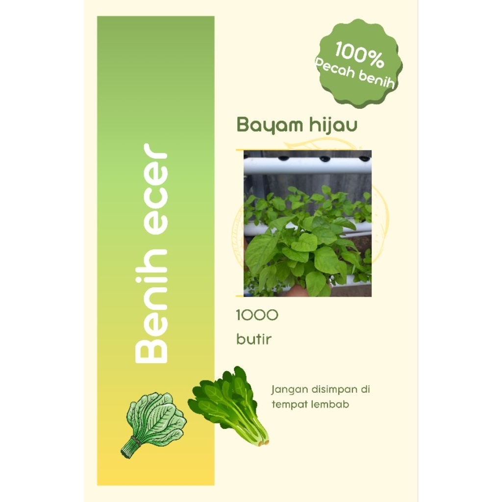 

1000 butir benih bayam hijau/benih bayam hijau eceran
