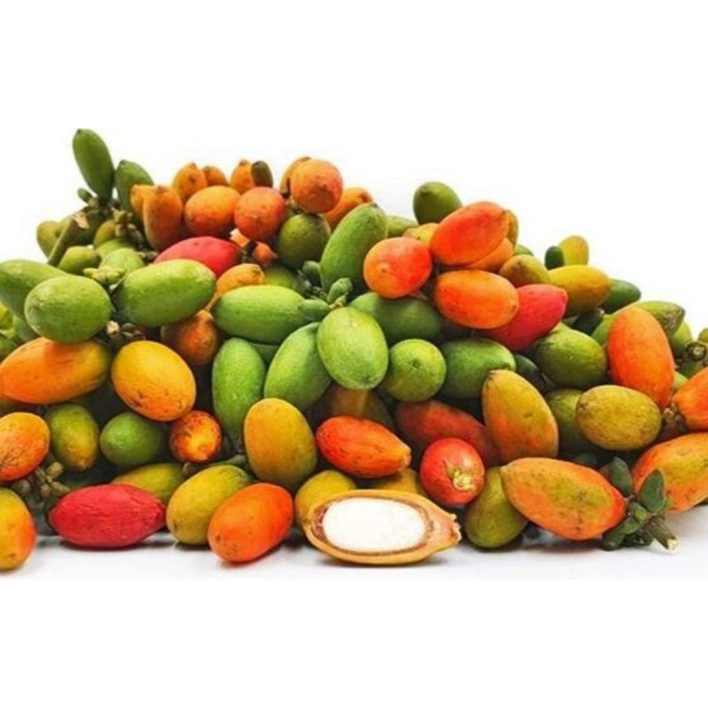 

Sayur Melinjo Freh 250 gr (Sayuran Segar)