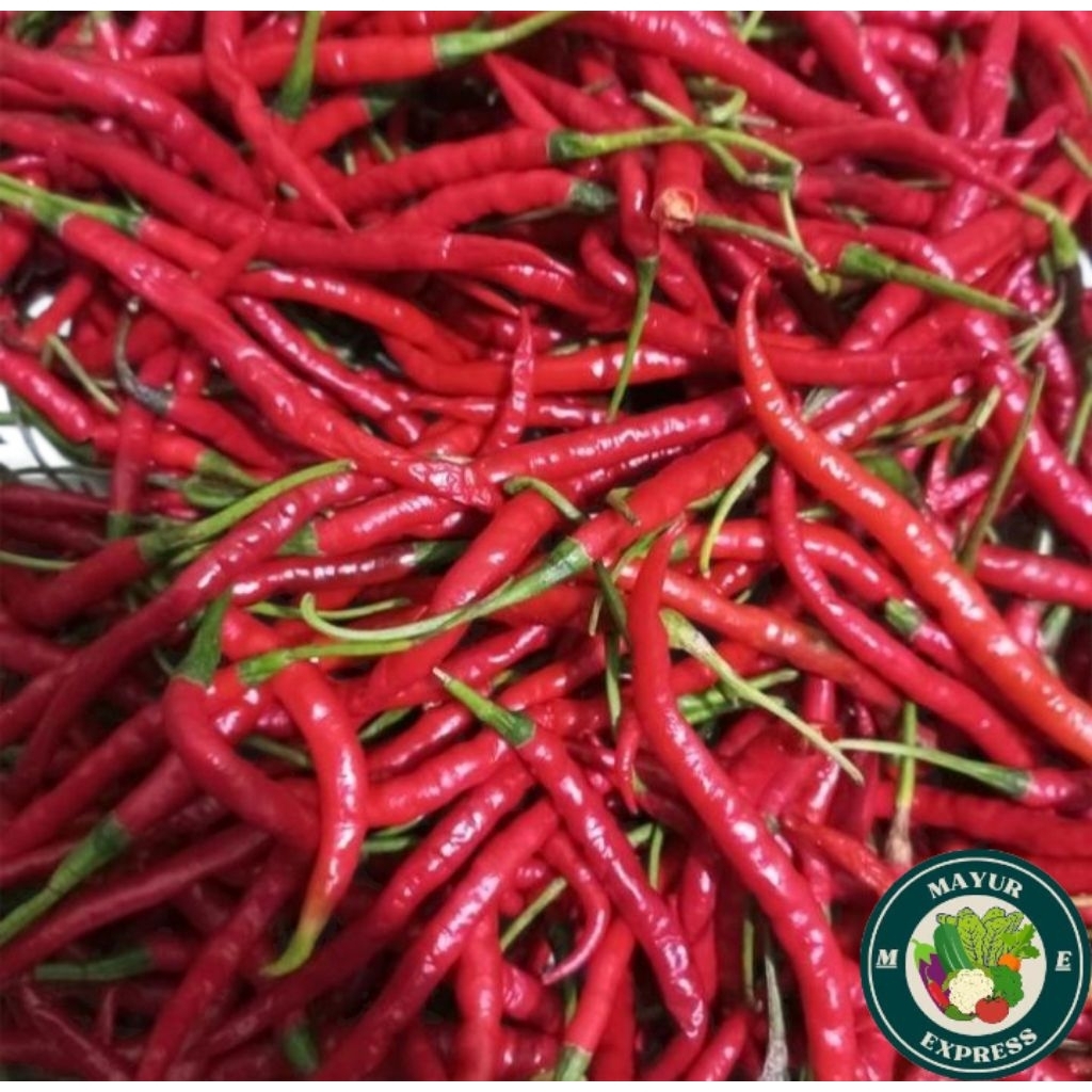 

Cabe keriting merah super ( 1/2 kg ) - ( 1/4 ) - ( 1 kg )