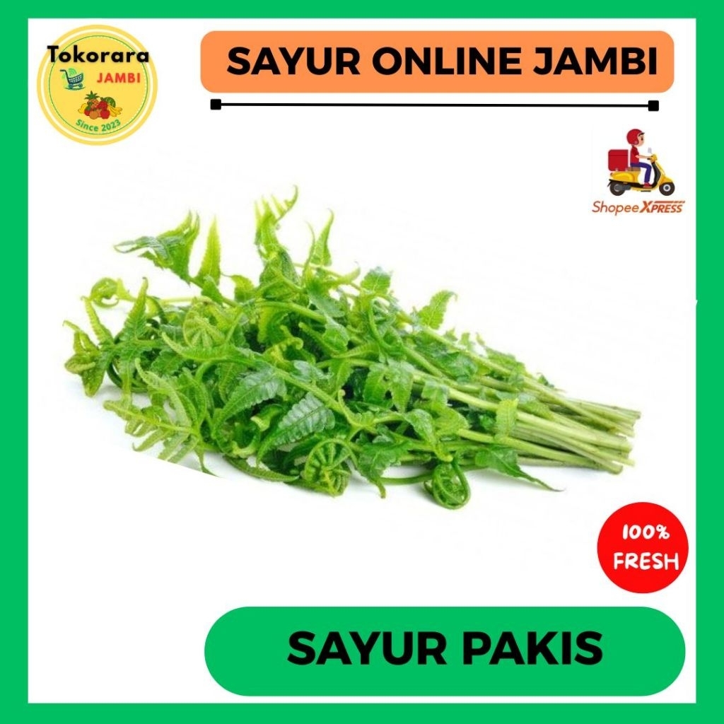 

KIRIM INSTAN Sayur Pakis Muda per ikat-tokorara.jambi
