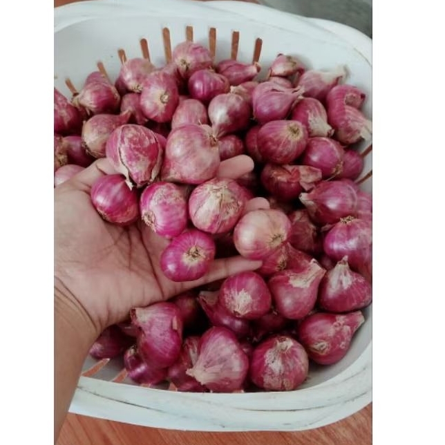 

Bawang merah Probolinggo kering