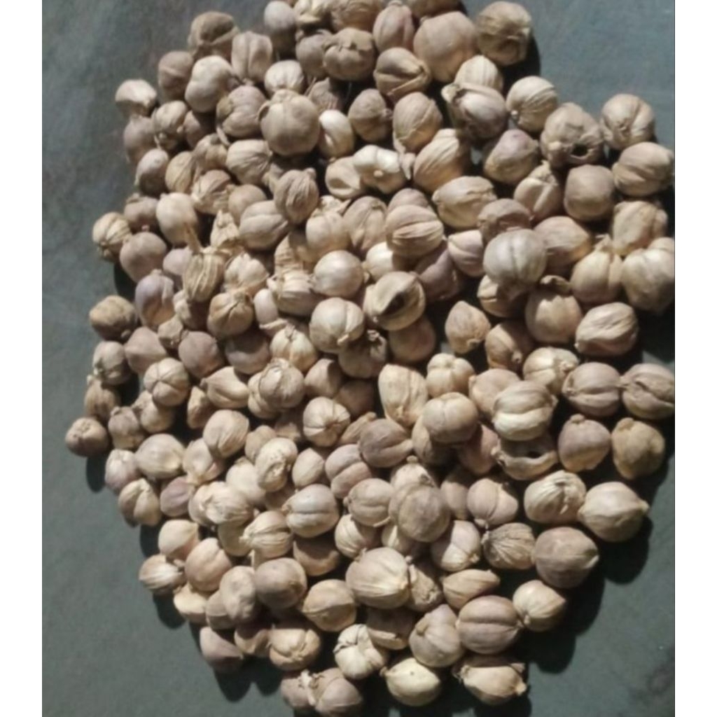 

Kapulaga Bersih 1kg | Grade AA+ | Untuk Kesehatan Paru-Paru Dan Ginjal