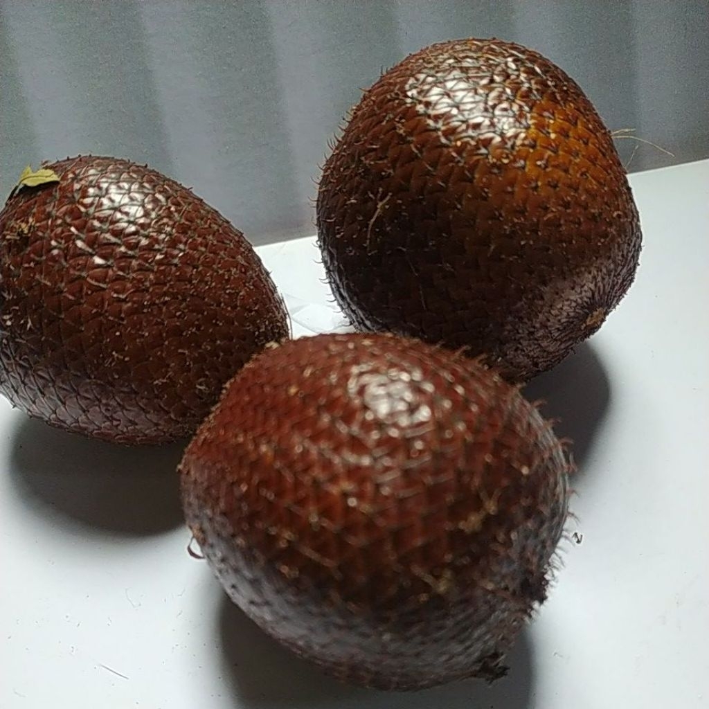 

SALAK MANIS LEGIT PETIK POHON LANGSUNG FRESH