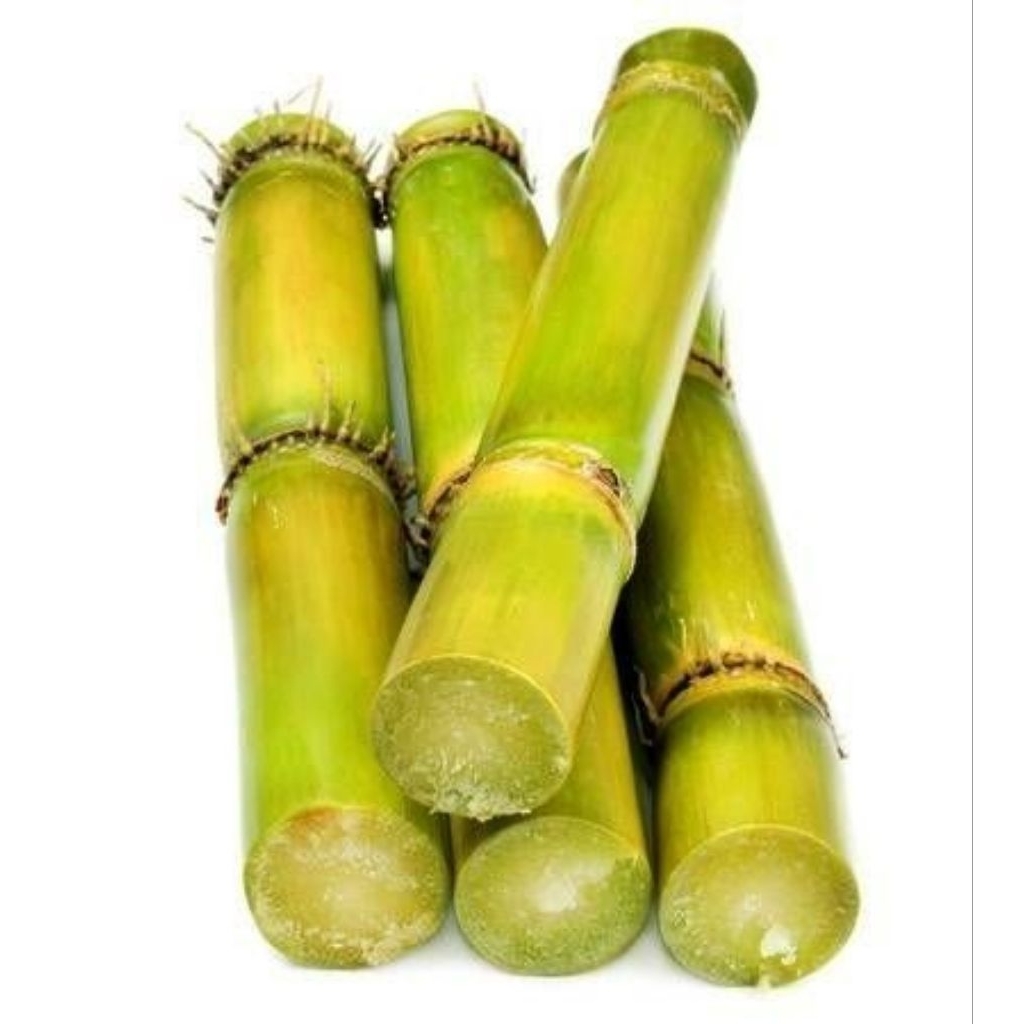 

Tebu hijau manis asli segar 5 batang