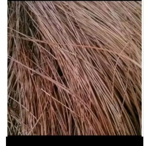 

Daun penes kering,1kilo