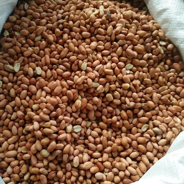 

Kacang Tanah 1kg Murah