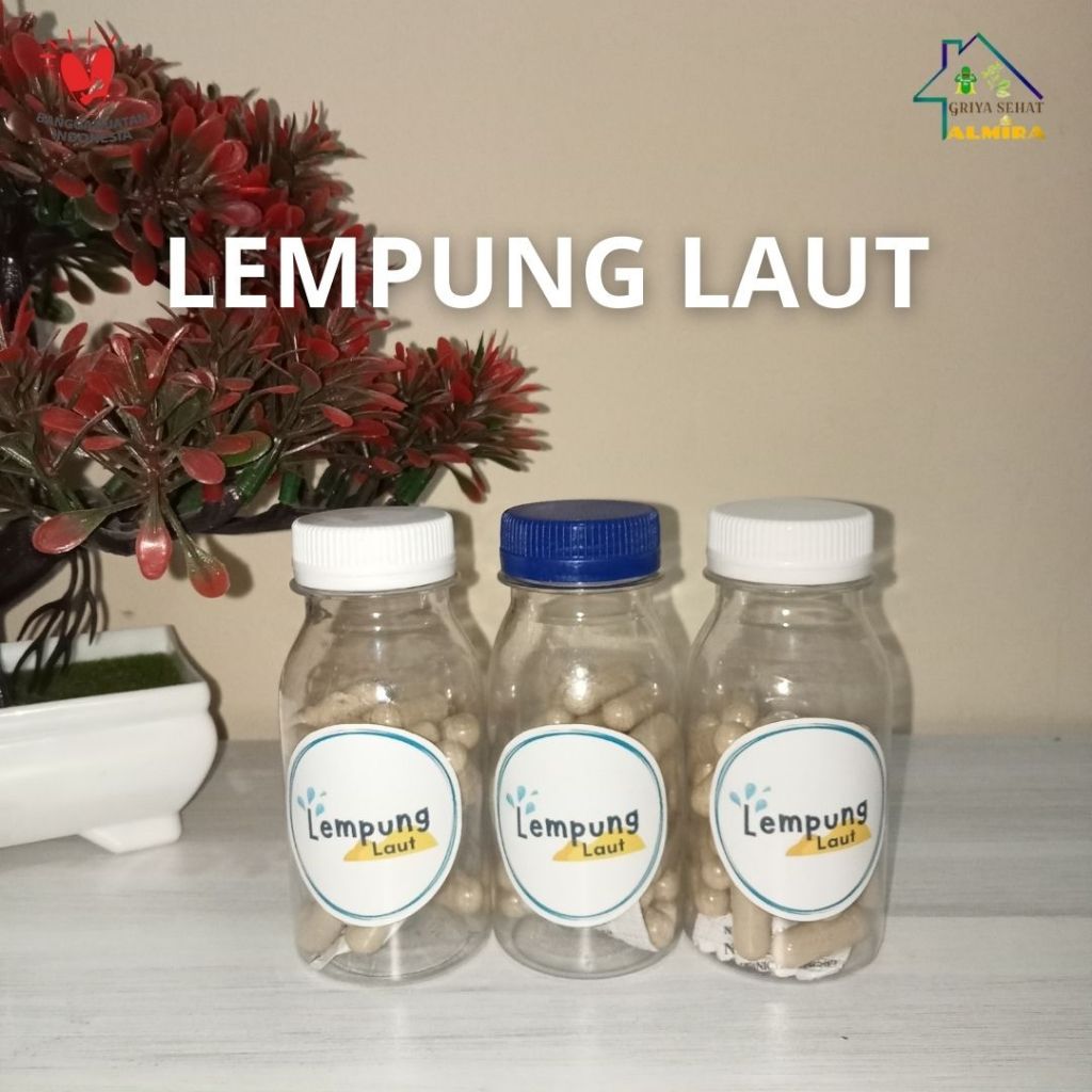 Lempung Laut Murah Original untuk Menjaga Kesehatan Keluarga