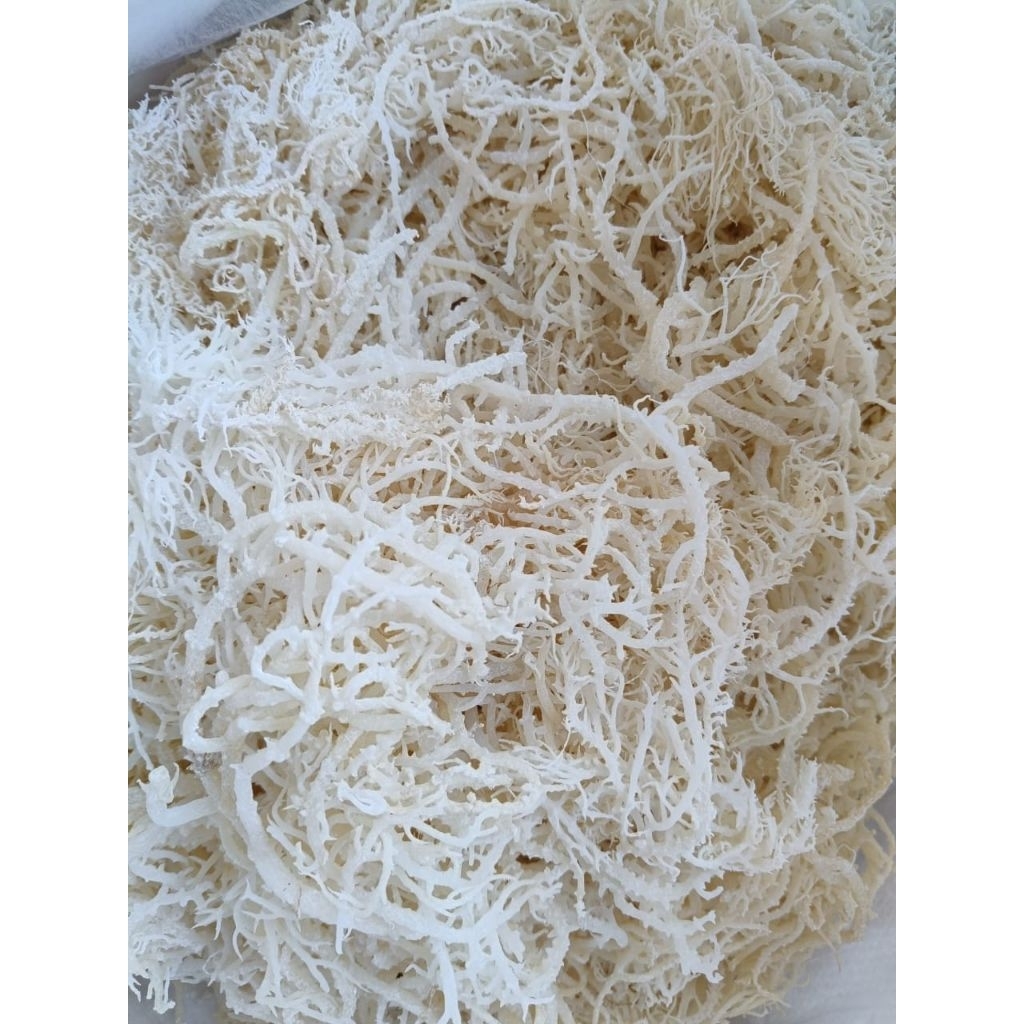 

Rumput Laut Kering Normal 1kg