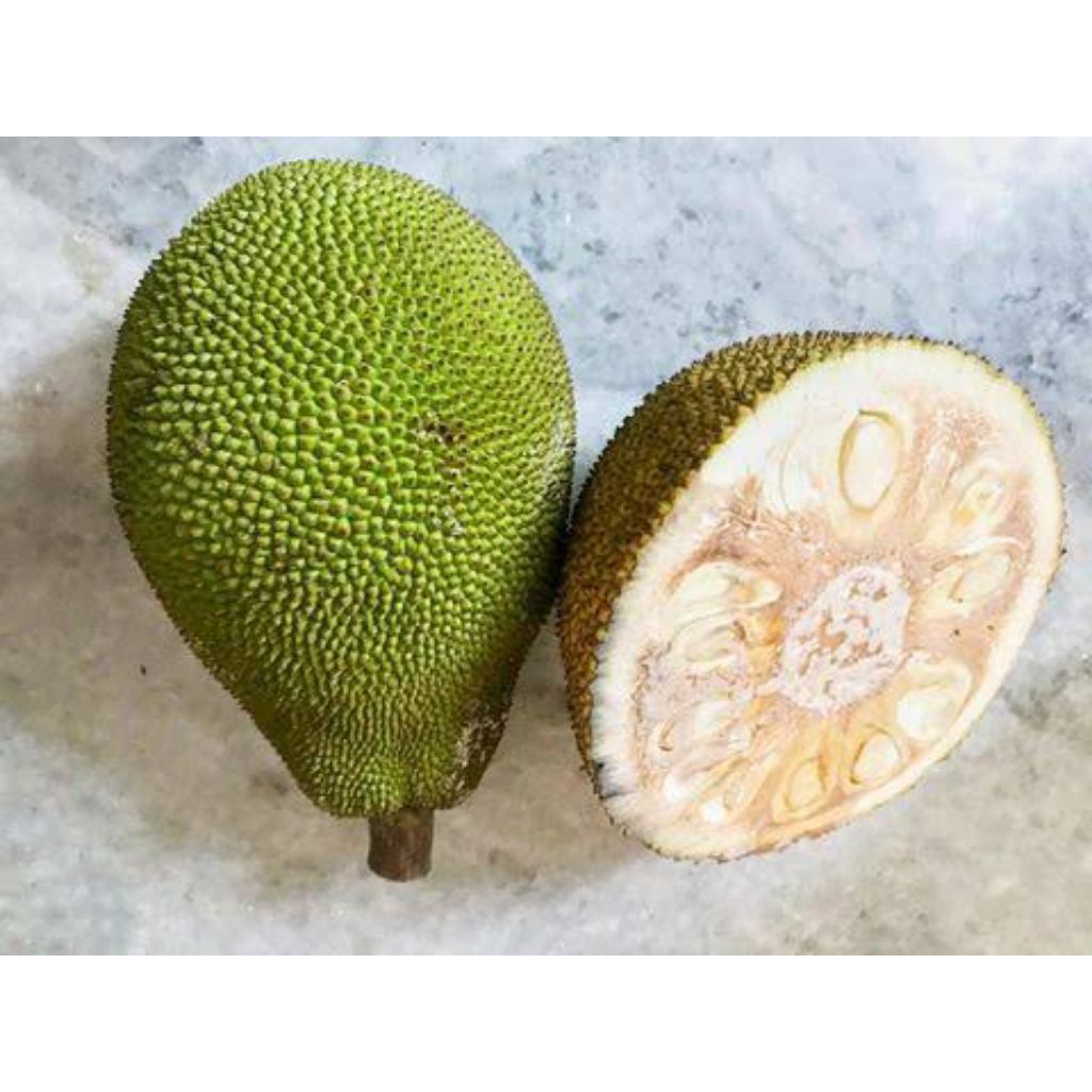 

Sayur Nangka Muda Nangka Mentah Segar Utuh Atau Potong 1 kg