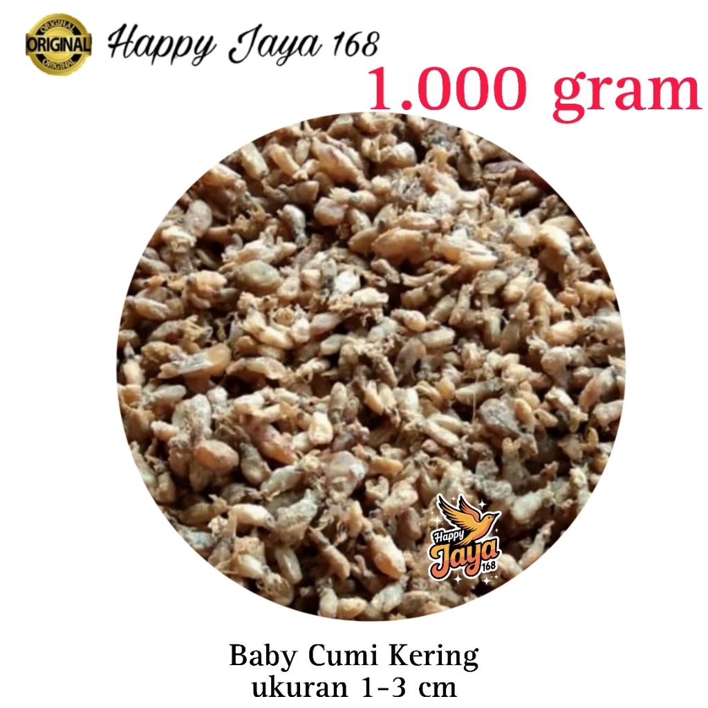 

Baby Cumi Kering ukuran 1 - 3 cm