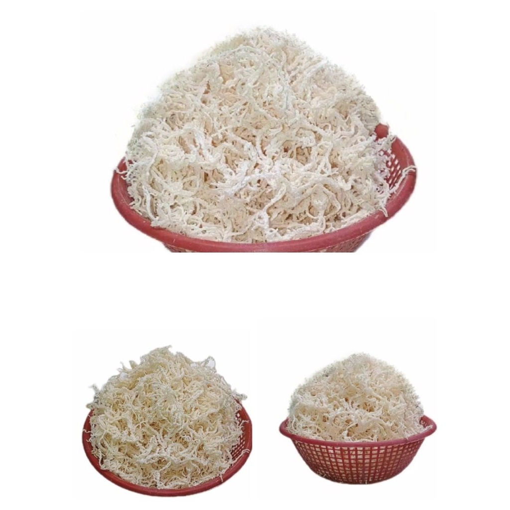 

Rumput Laut Kering Untuk Es Campur Dan Agar agar Kemasan 1kg