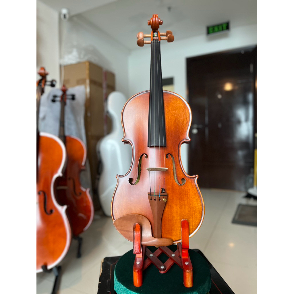 (Free fitting & Upgrade) Biola Shifen 501 Size 4/4 - Violin shifen 501
