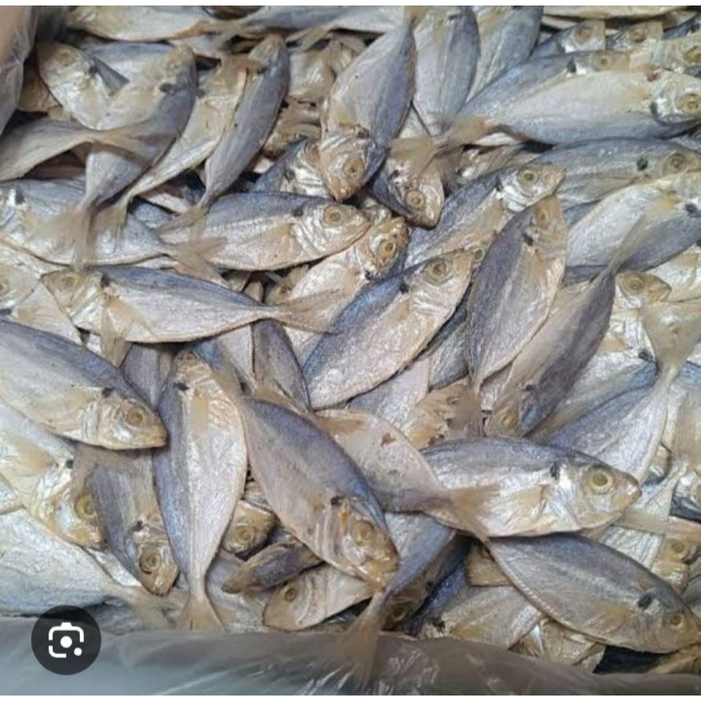 

1 bngks ikan asin selar