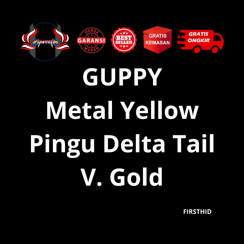 (BEST SELLER) Aksesoris Akuarium GUPPY Metal Yellow Pingu versi Gold line Swallow Ribbon Fin C