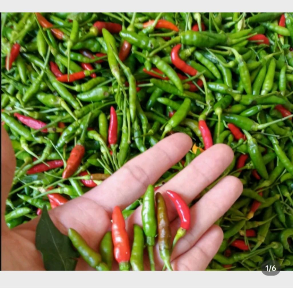 

cabe kecil pedas 1kg 25000 d jamin pedas