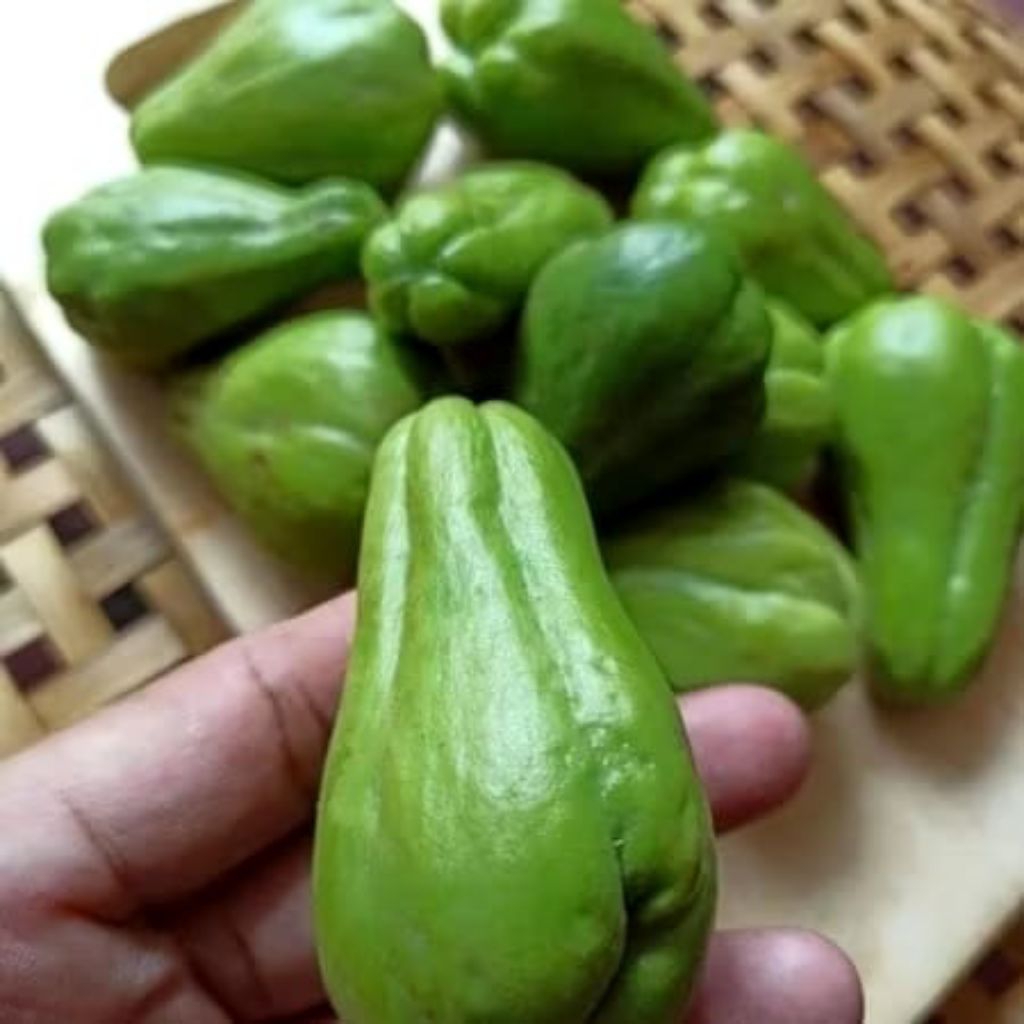 

baby labu Siam 250/500/1000gram