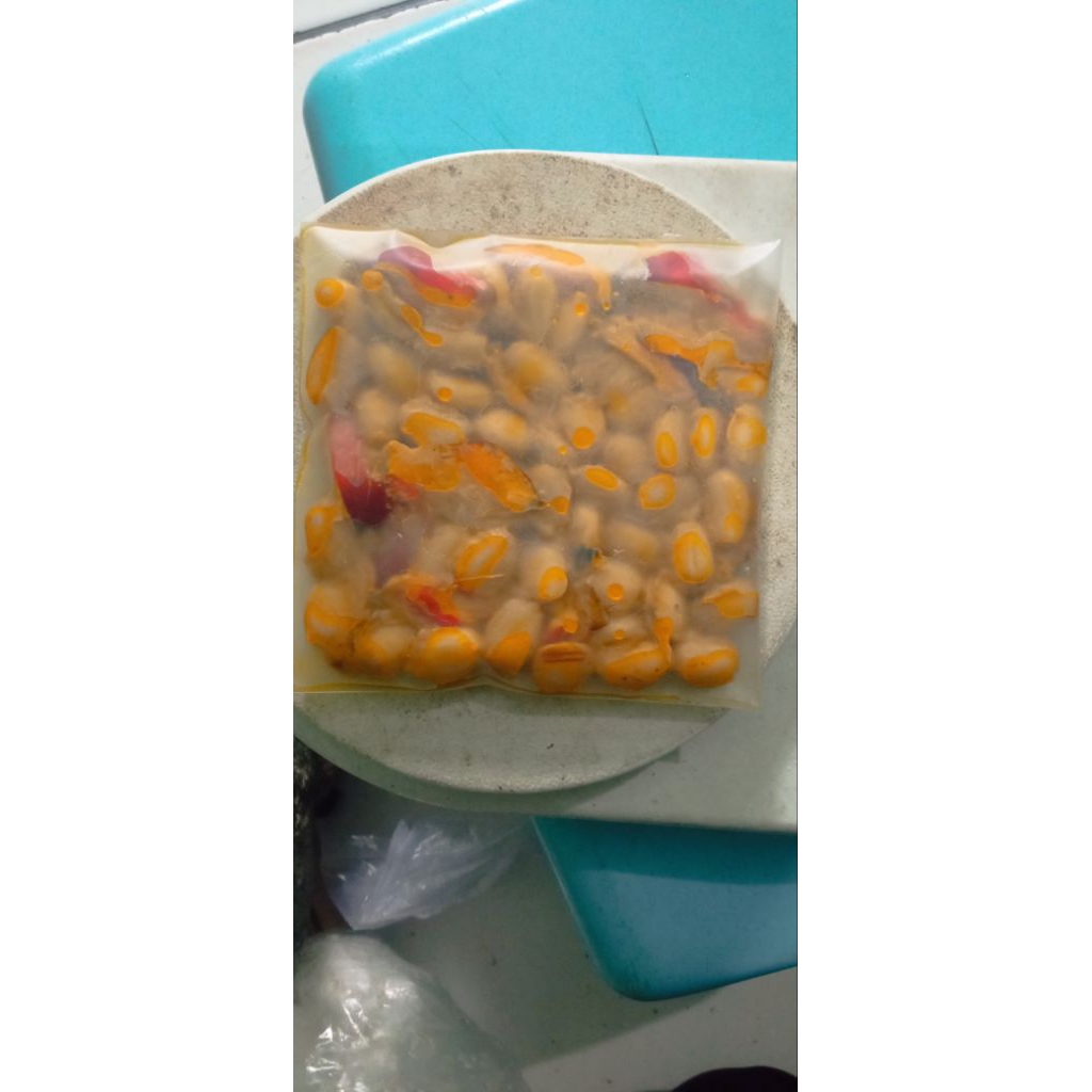 

Fermentasi Biji Jarak